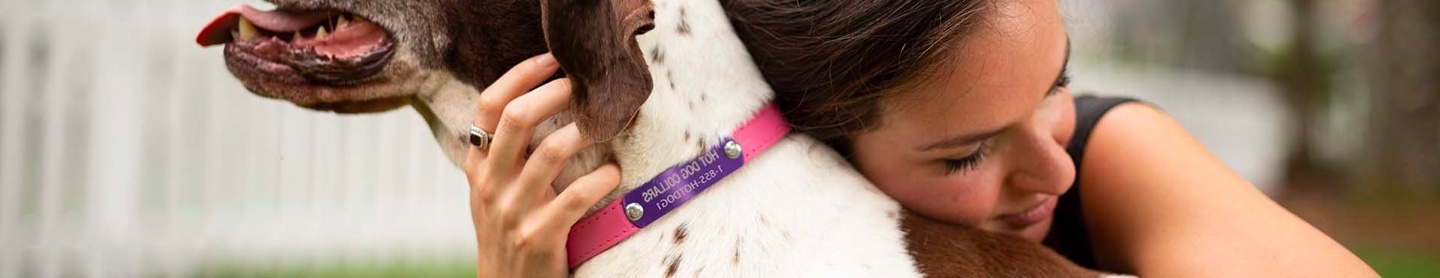Header Image of Pet(s)