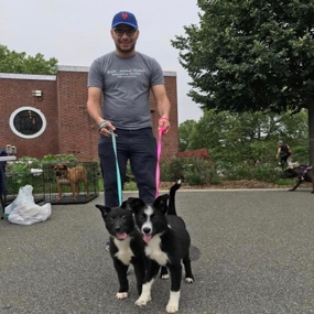 Person holding dog